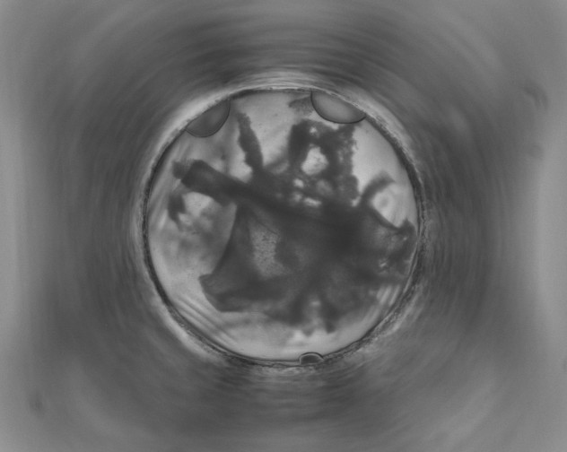 X0000111121429200907281020