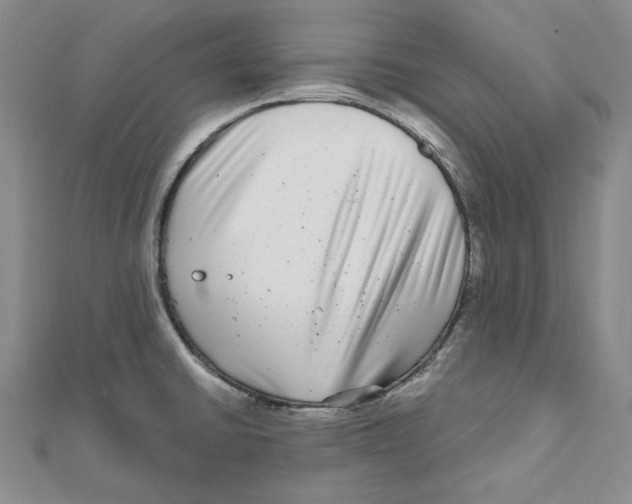 X0000111121430200907281020
