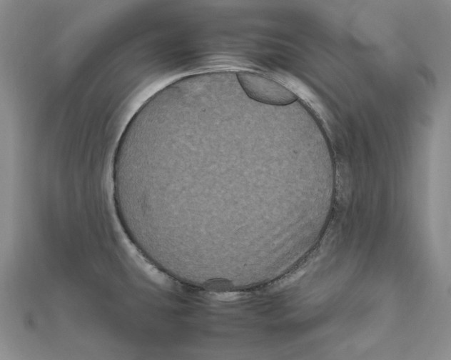 X0000111121431200907281020