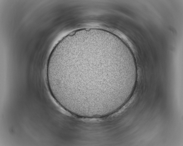 X0000111121432200907281020