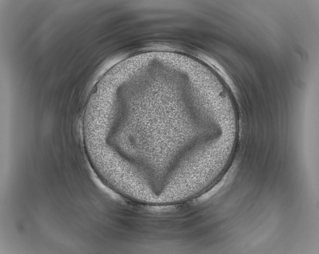 X0000111121433200907281020