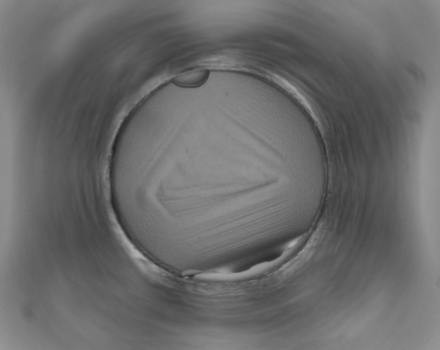 X0000111121434200907281020