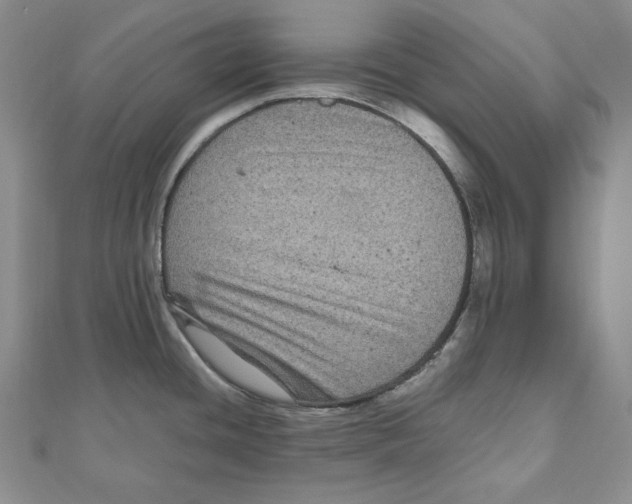 X0000111121436200907281020
