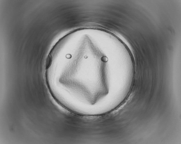 X0000111121437200907281020
