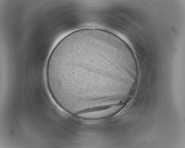 X0000111121440200907281020