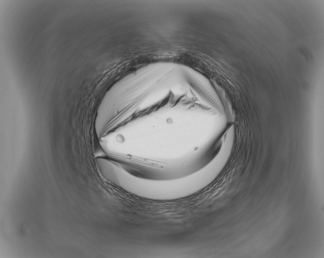 X0000111121441200907281019