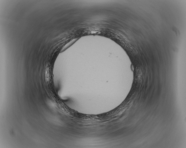 X0000111121442200907281019