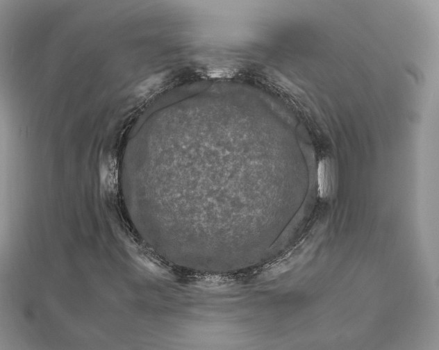 X0000111121443200907281019