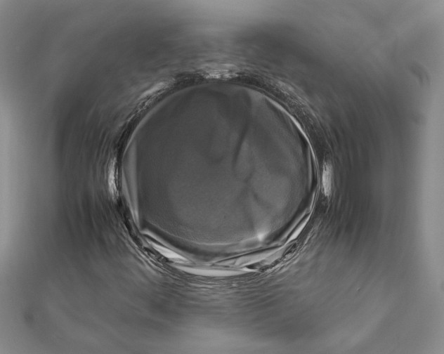 X0000111121444200907281019