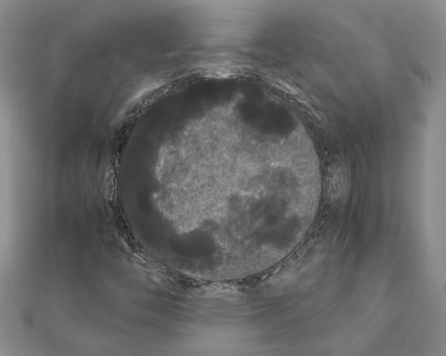 X0000111121446200907281019