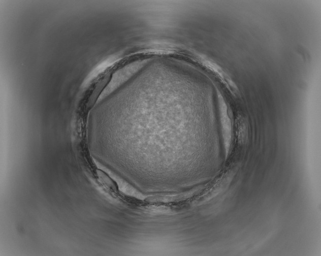 X0000111121448200907281019