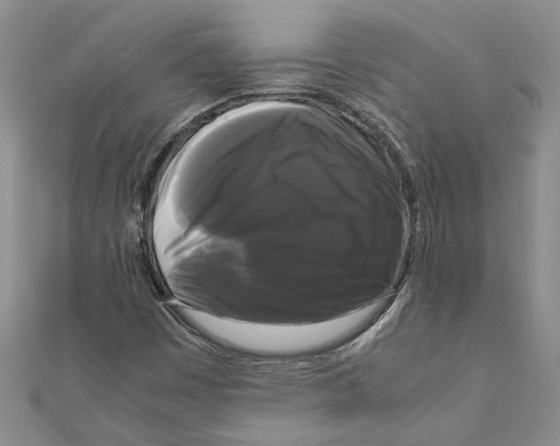 X0000111121449200907281019