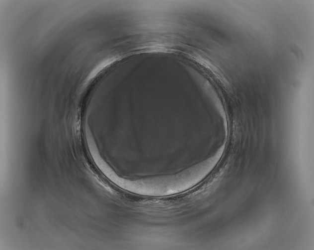 X0000111121450200907281019
