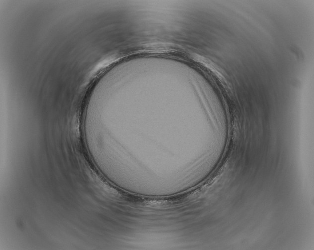 X0000111121451200907281019