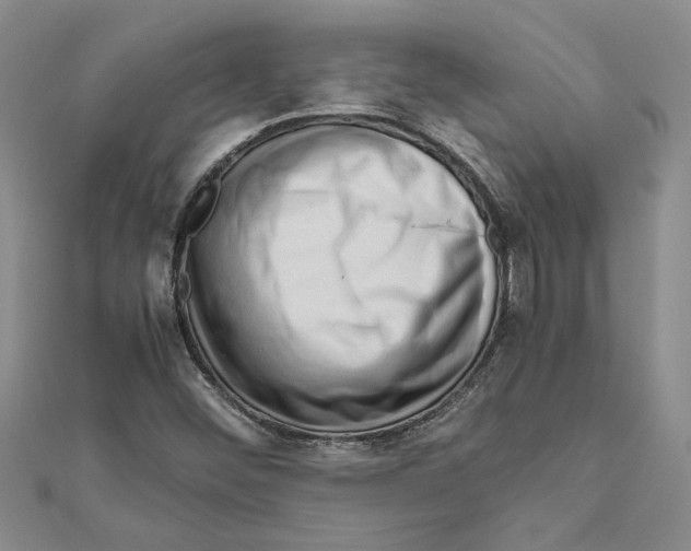 X0000111121452200907281019