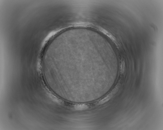 X0000111121454200907281019