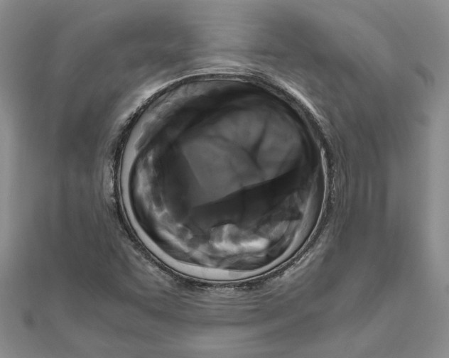 X0000111121455200907281019