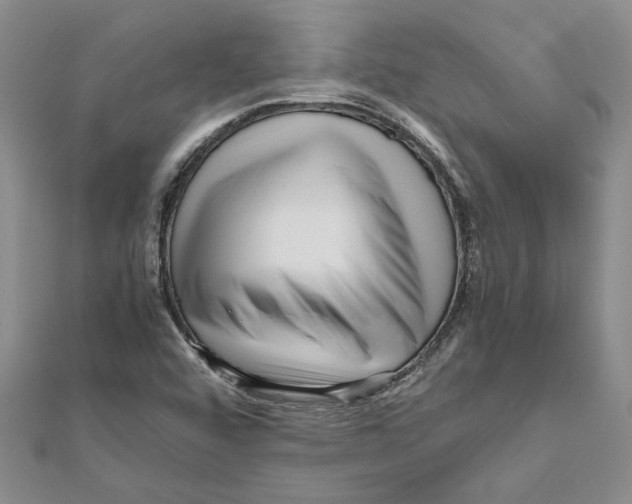 X0000111121456200907281019