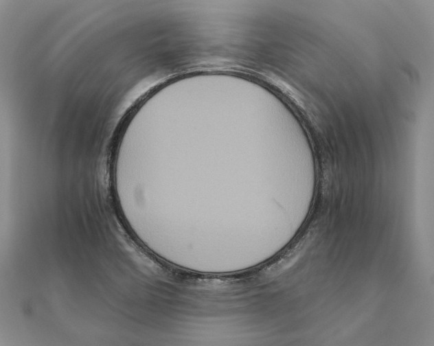 X0000111121458200907281019