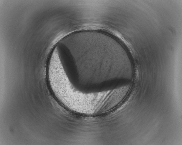 X0000111121459200907281019