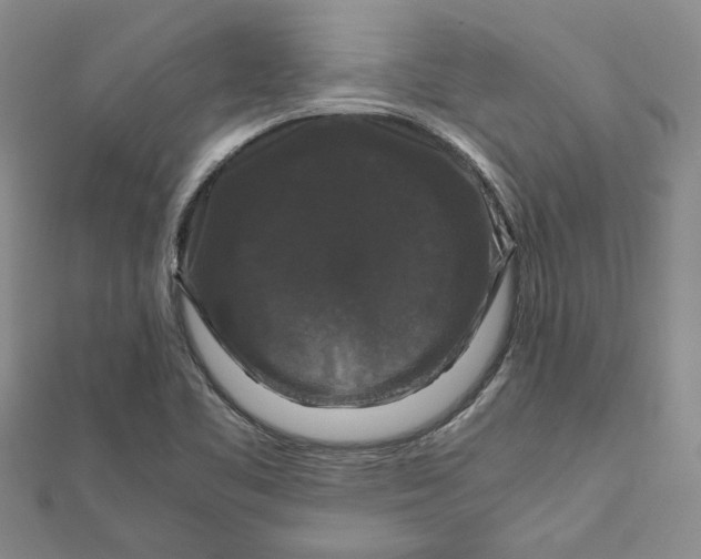 X0000111121461200907281019