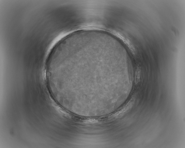 X0000111121462200907281019