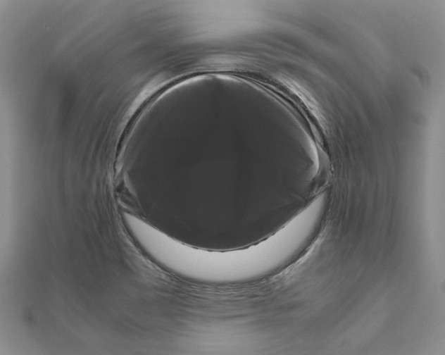 X0000111121465200907281019