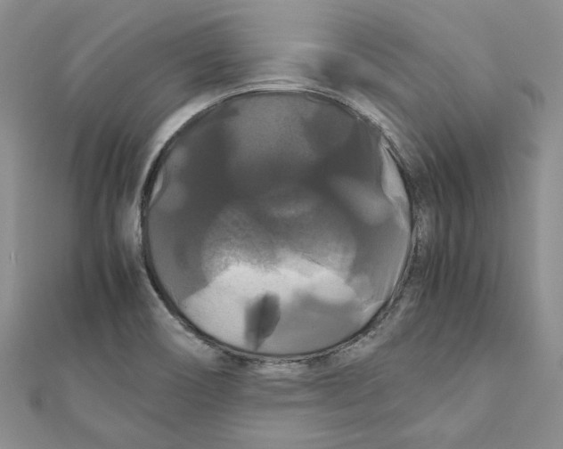 X0000111121466200907281019