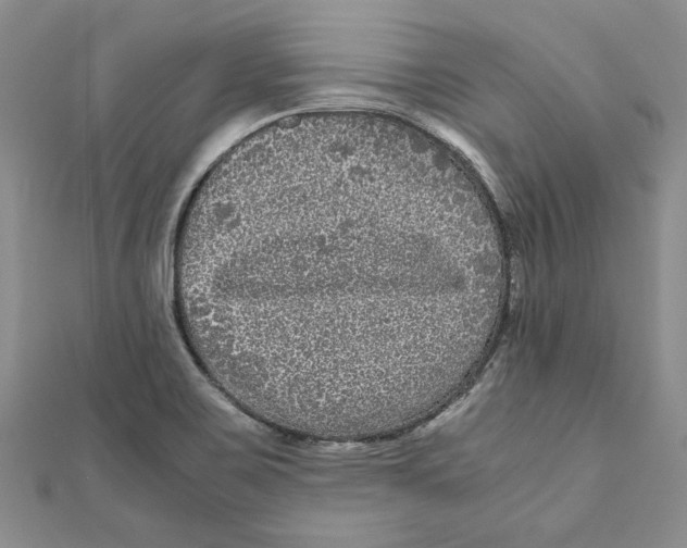 X0000111121467200907281019