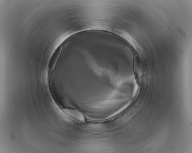 X0000111121468200907281019