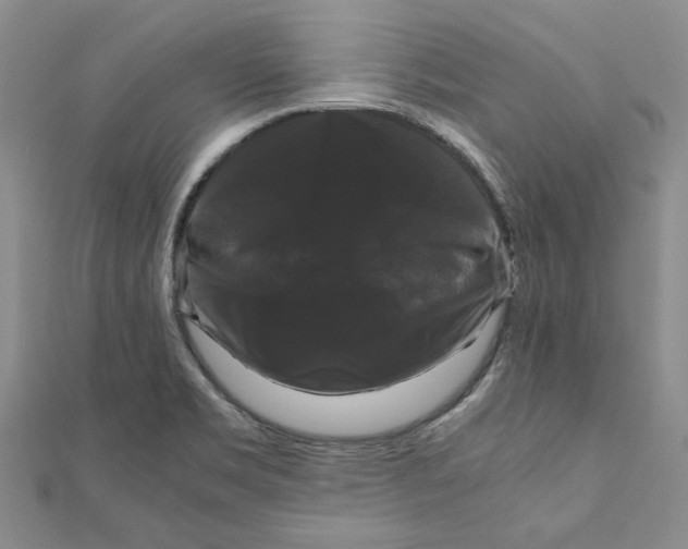X0000111121469200907281019
