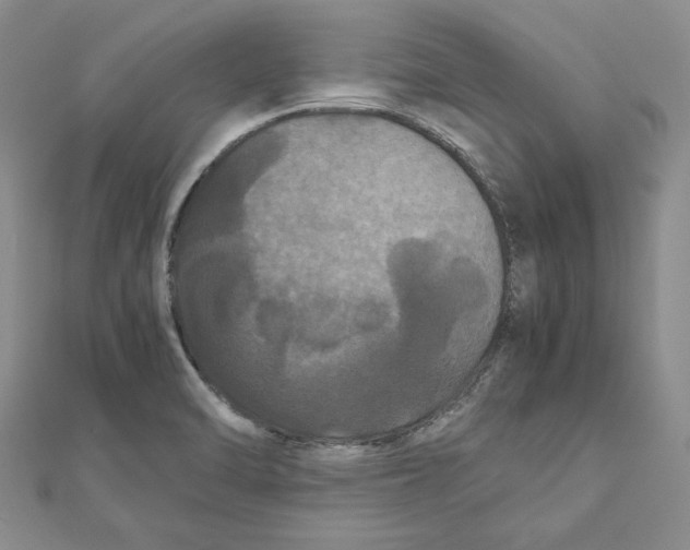 X0000111121470200907281019