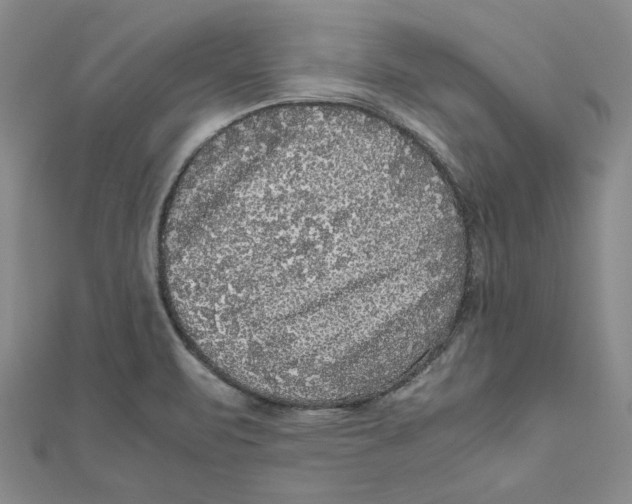 X0000111121471200907281019