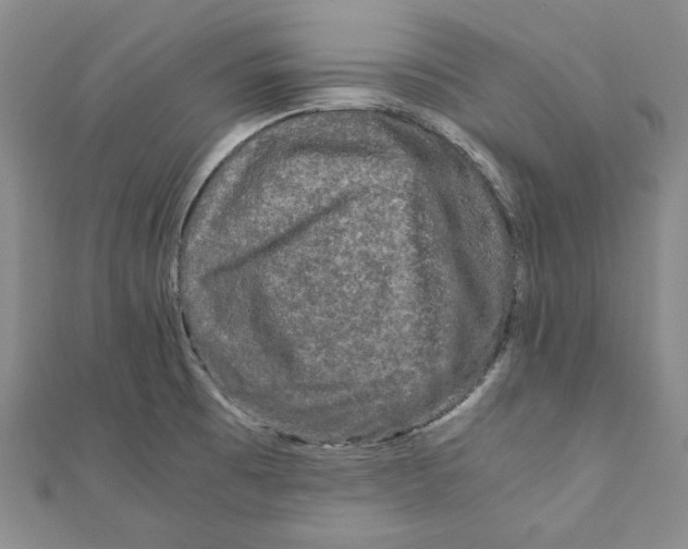 X0000111121473200907281019