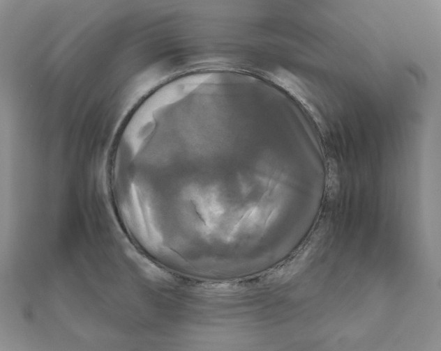 X0000111121474200907281019