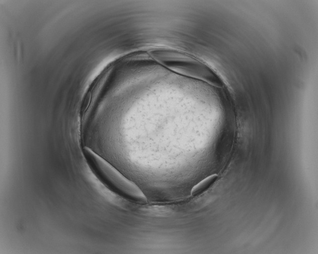 X0000111121476200907281019