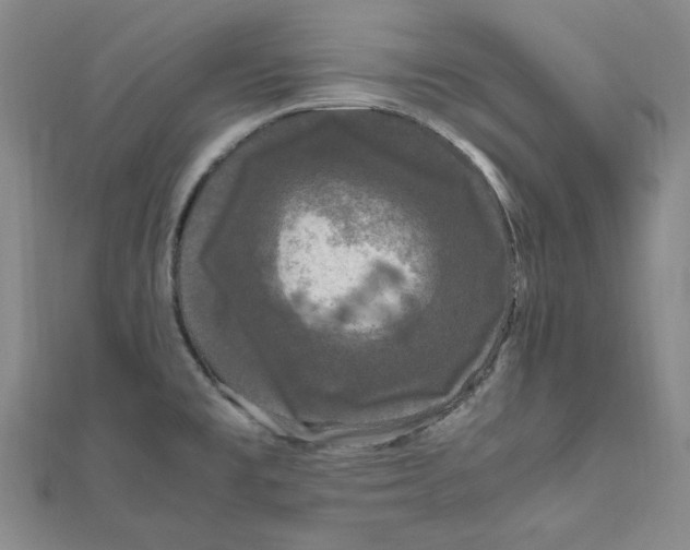 X0000111121477200907281019