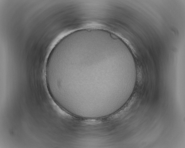 X0000111121478200907281019