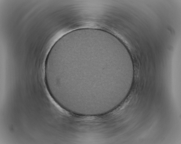 X0000111121479200907281019
