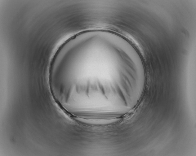X0000111121480200907281019