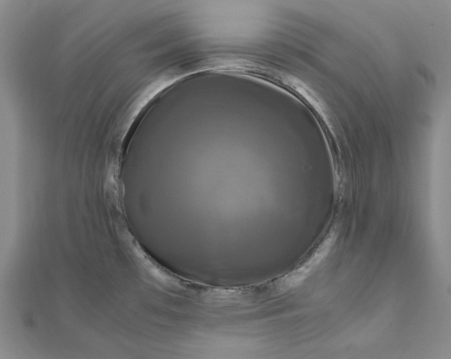 X0000111121481200907281019