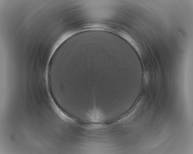 X0000111121482200907281019