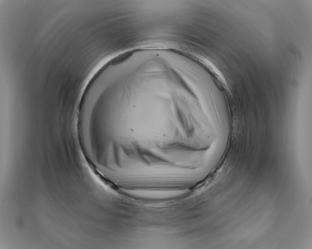 X0000111121484200907281019