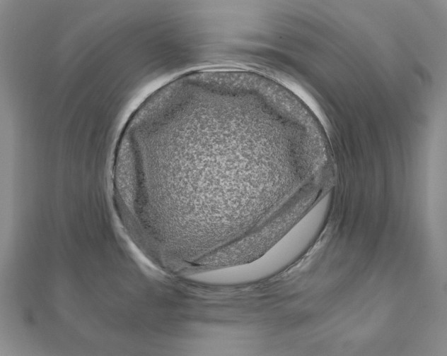 X0000111121485200907281019