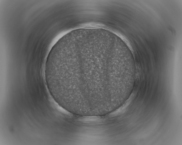 X0000111121486200907281019