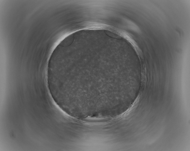 X0000111121487200907281019