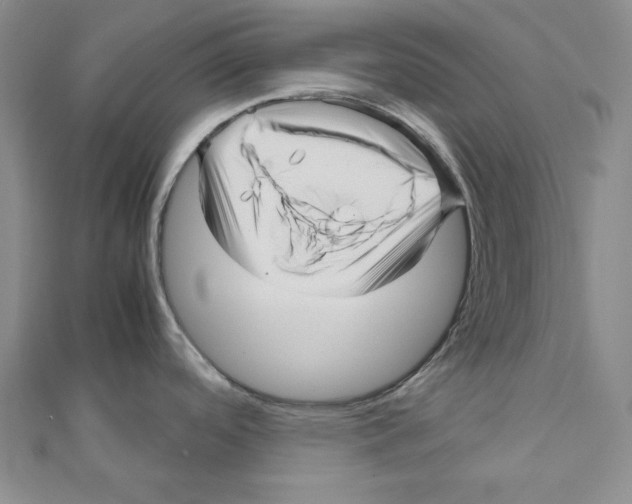 X0000111121488200907281019