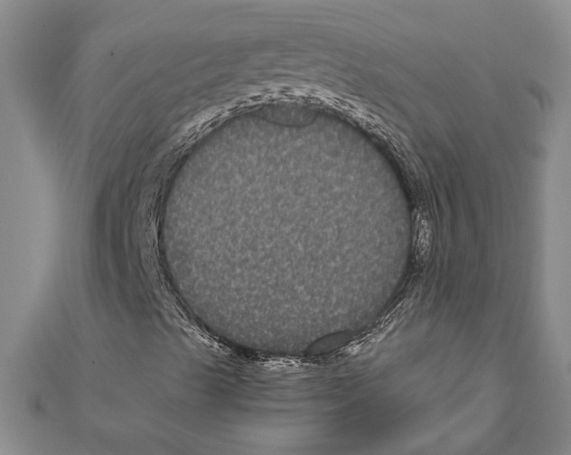 X0000111121489200907281018
