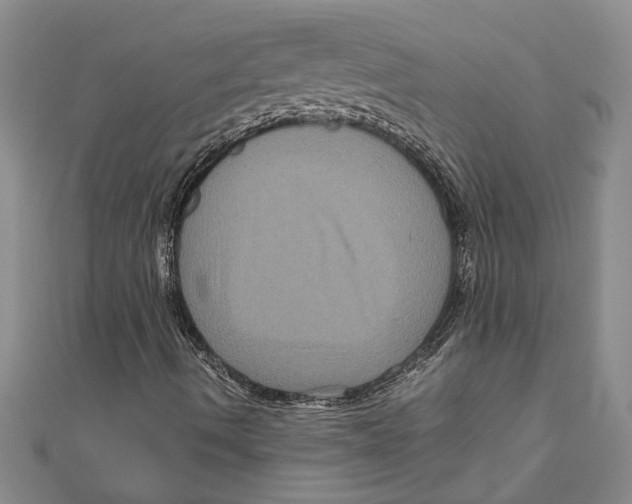 X0000111121490200907281018