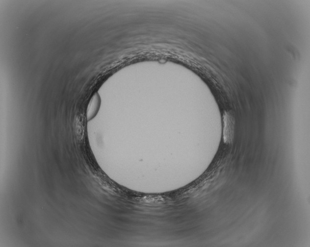 X0000111121491200907281018